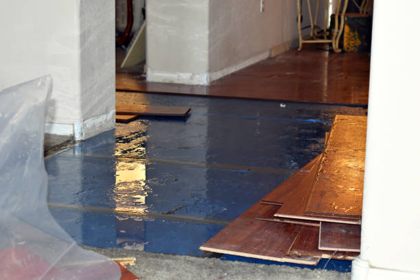 Professional Burst Pipe Cleanup technician working in Alpine, UT
